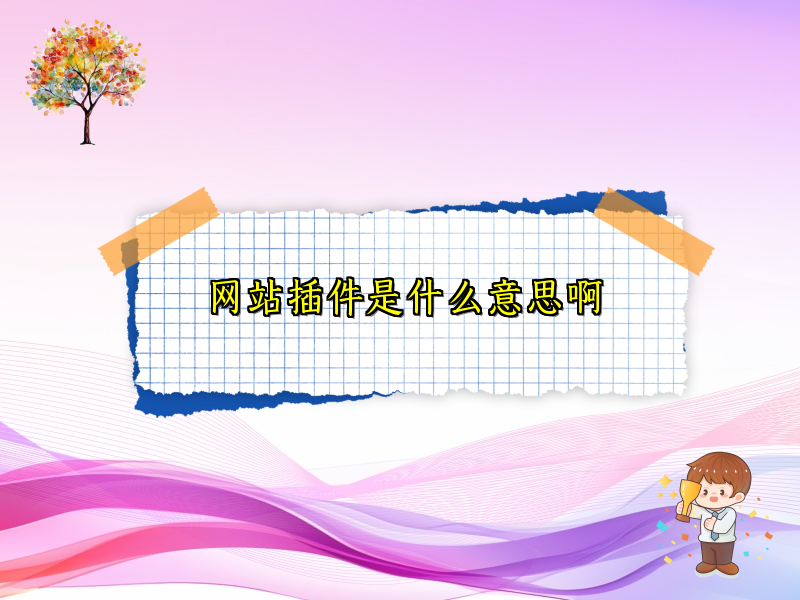 网站插件是什么意思啊