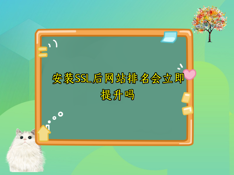 安装SSL后网站排名会立即提升吗