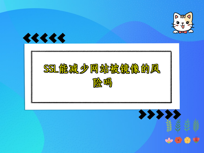 SSL能减少网站被镜像的风险吗