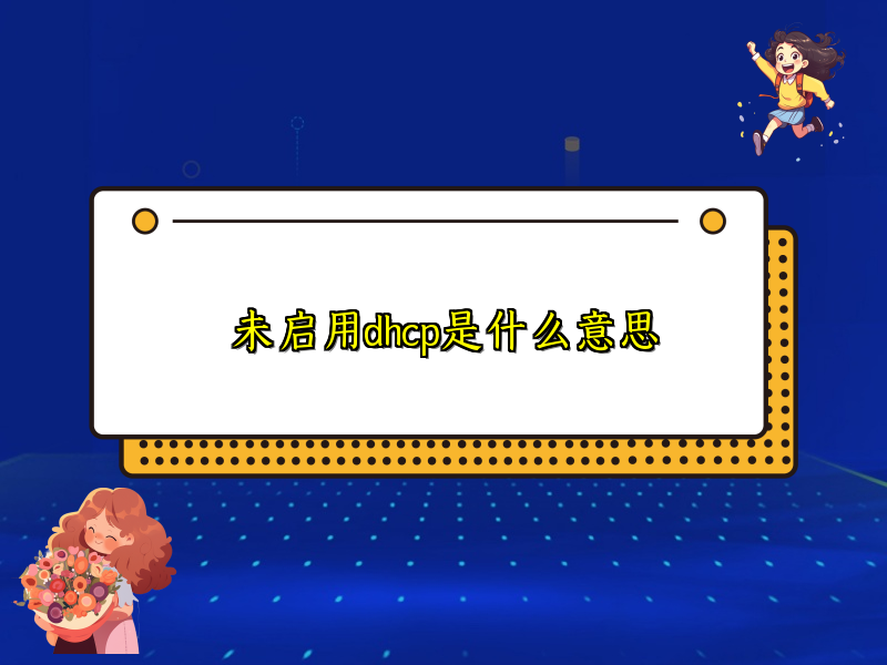 未启用dhcp是什么意思