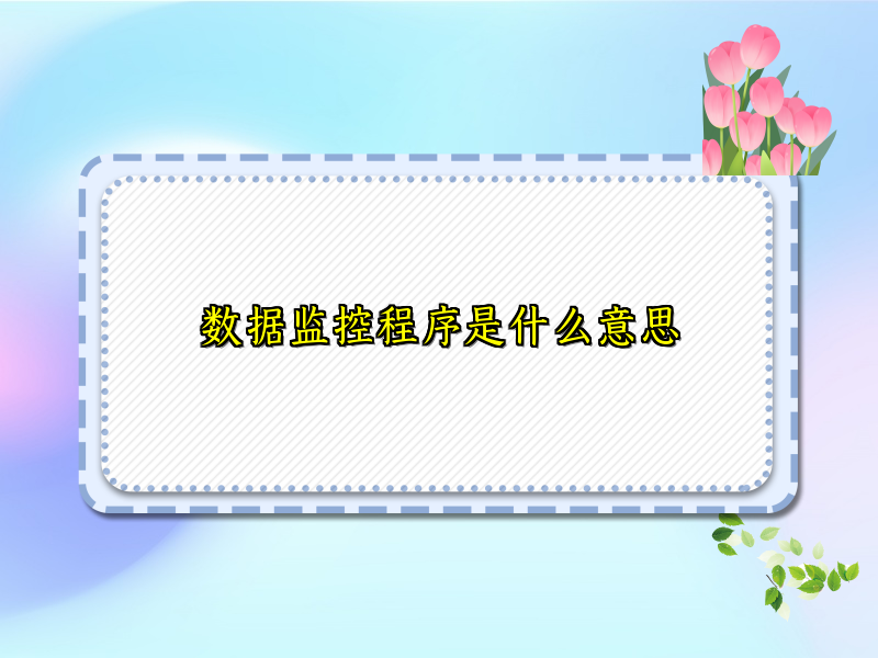 数据监控程序是什么意思