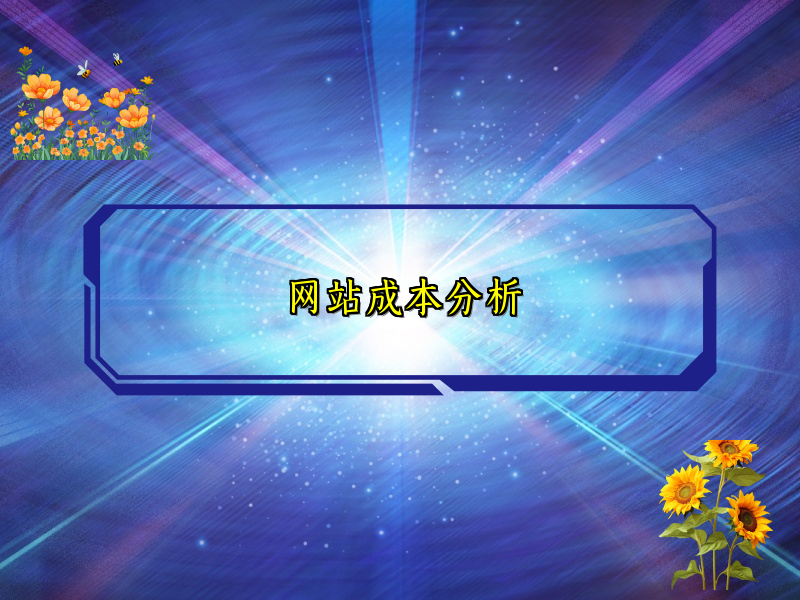网站成本分析