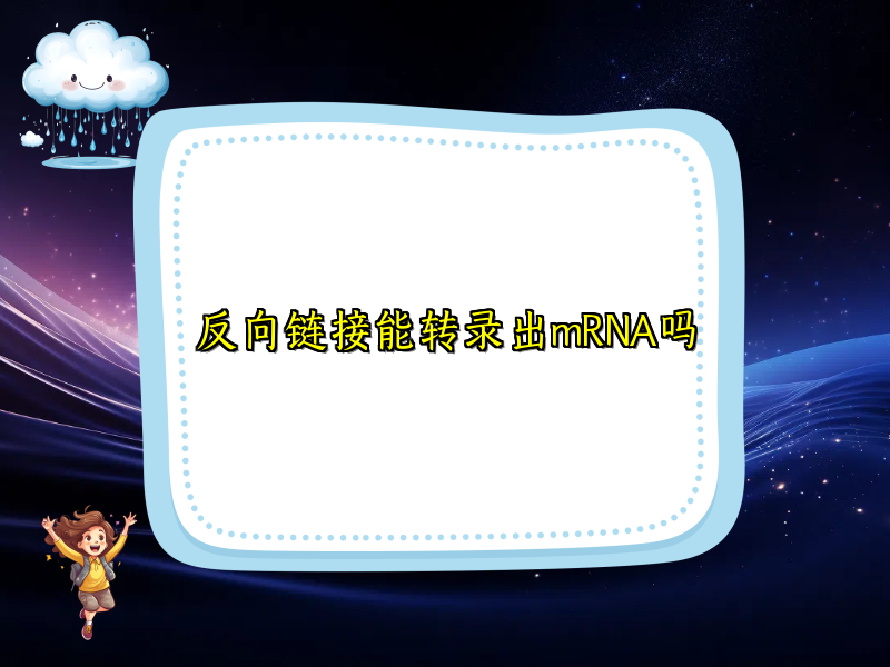 反向链接能转录出mRNA吗